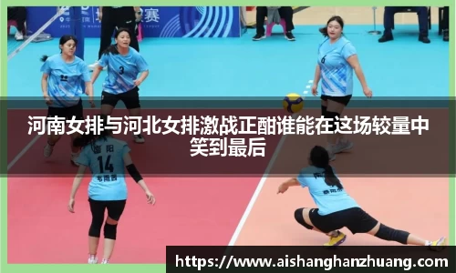 河南女排与河北女排激战正酣谁能在这场较量中笑到最后